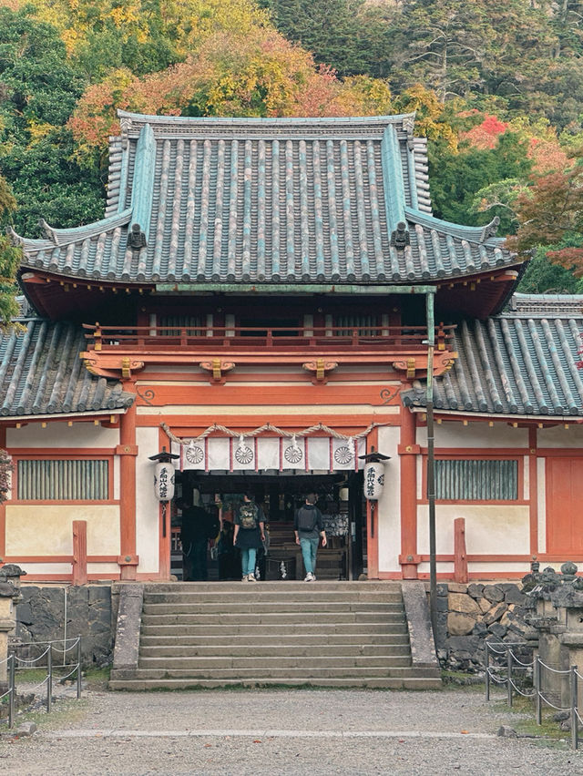 【奈良市】学問の神様も歌を詠んだ紅葉名所『手向山八幡宮』