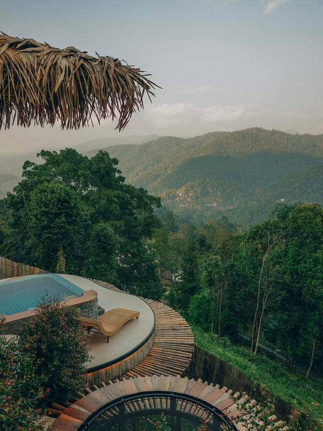 บ้านป่าหมอก