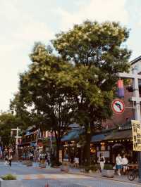 The Simple Beauty of Traditional Architecture