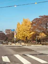 Historical Immersion and Unhurried Atmosphere