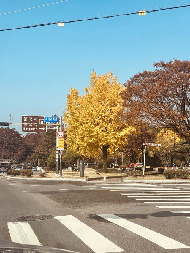 Historical Immersion and Unhurried Atmosphere