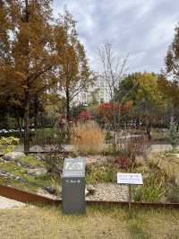 전주 아울정원 야외정원 숲산책로 추천🌲