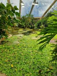 🌿 A Calm, Green Escape at Botanisk Have