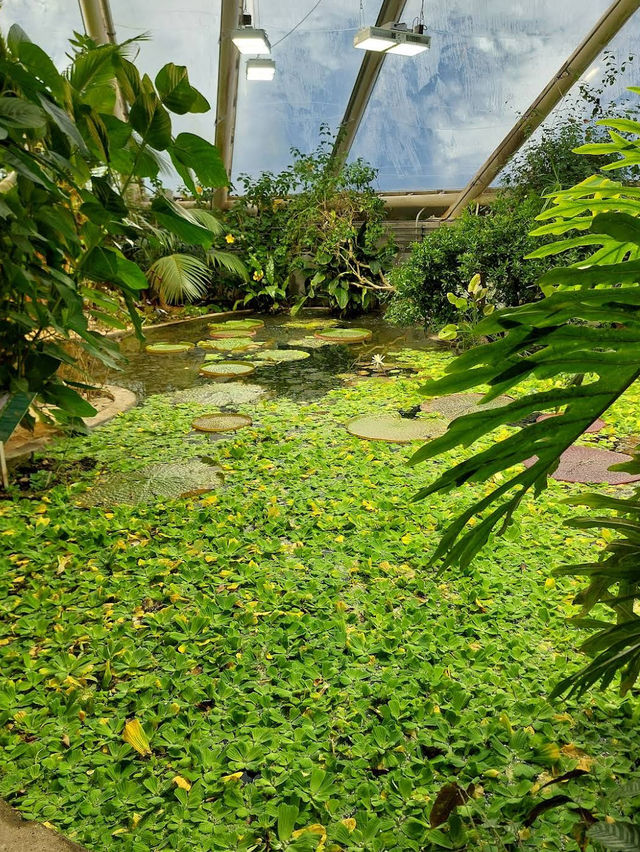 🌿 A Calm, Green Escape at Botanisk Have 🌿 A Calm, Green Escape at Botanisk Have