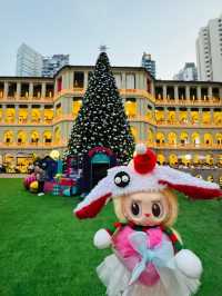 Where Stone Walls Breathe Starlight