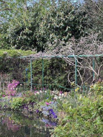 走進莫內畫作中的一天，吉維尼花園