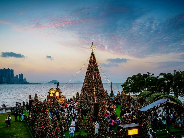 A Canopy of Constellations Stitched into Twilight A Canopy of Constellations Stitched into Twilight