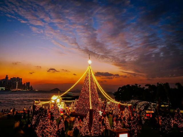 A Canopy of Constellations Stitched into Twilight A Canopy of Constellations Stitched into Twilight