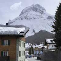 藍天下松樹雪峰觀景路線