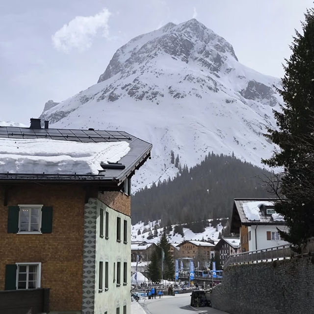 藍天下松樹雪峰觀景路線