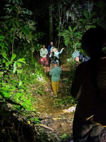 亚马逊雨林夜间徒步探险体验🌙