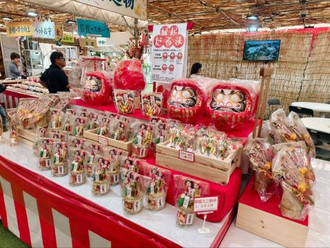 沖宮｜那覇市内で参拝できる琉球八社、お守りの種類が多すぎて迷っ