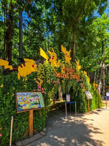 A Dreamy Pokémon World! Exploring the 'Pokémon Secret Forest' in