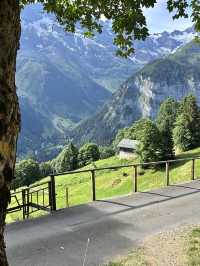 🏔️ [Switzerland] 여름 스위스, 그냥 미쳤다는 말밖엔!