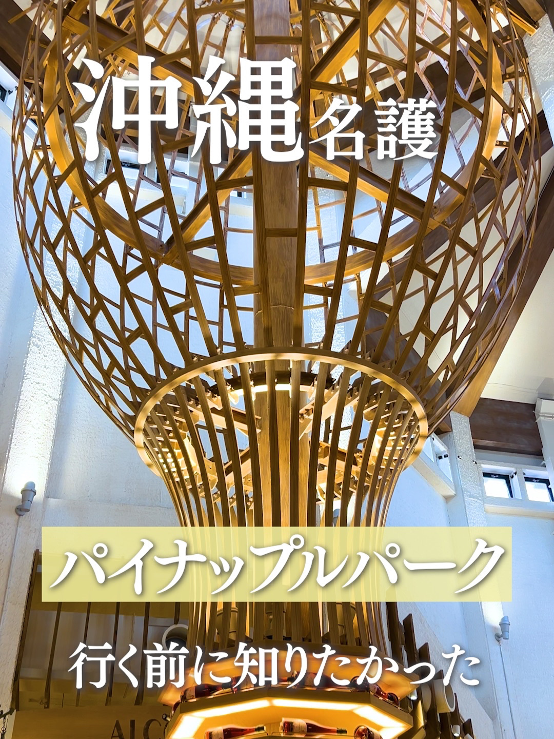 【沖縄】パイナップルパーク行く前に知りたかったこと