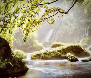 南アフリカ・ドラケンスバーグ：ガーデンキャッスルの苔むす草原台地 easytravelpost