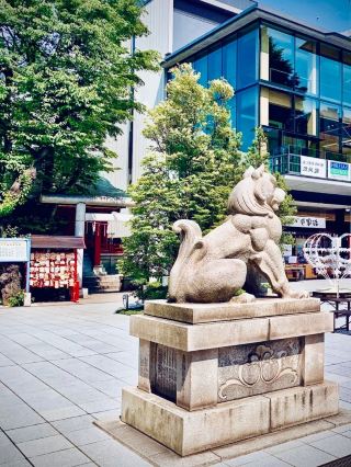 Tomakomai Shrine & Mossy Coastal Forest Park Walk