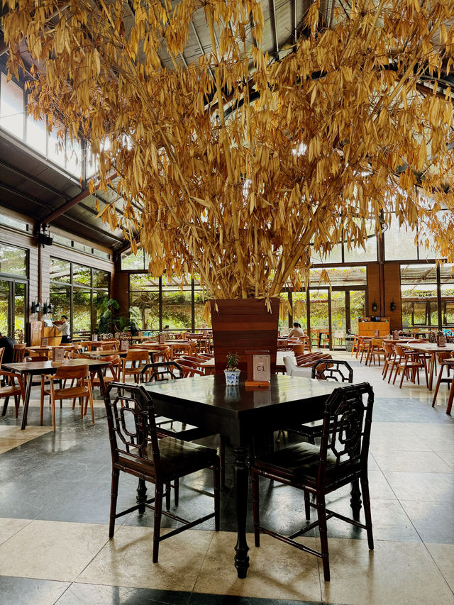 Gundaling Farm to the table Restaurant highly recommended 