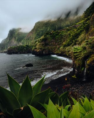 🇵🇹 Madeira — An Island Painted by Nature 🌊🌺