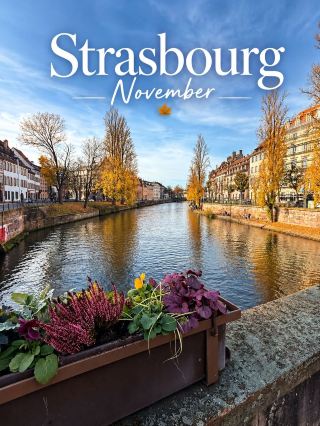 Strasbourg, France 🇫🇷 | 11 November 2025