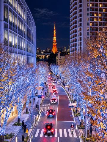 Tokyo Winter Illumination Guide 2026–2027 | 12 Must-Visit Night Spots!