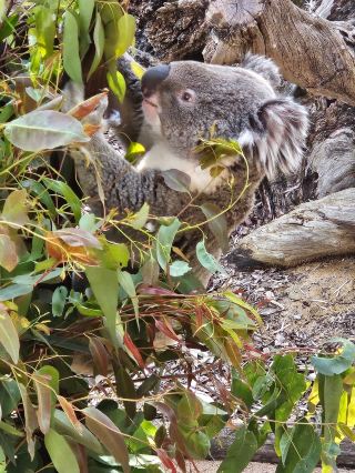 Perth 4 nights 5 days