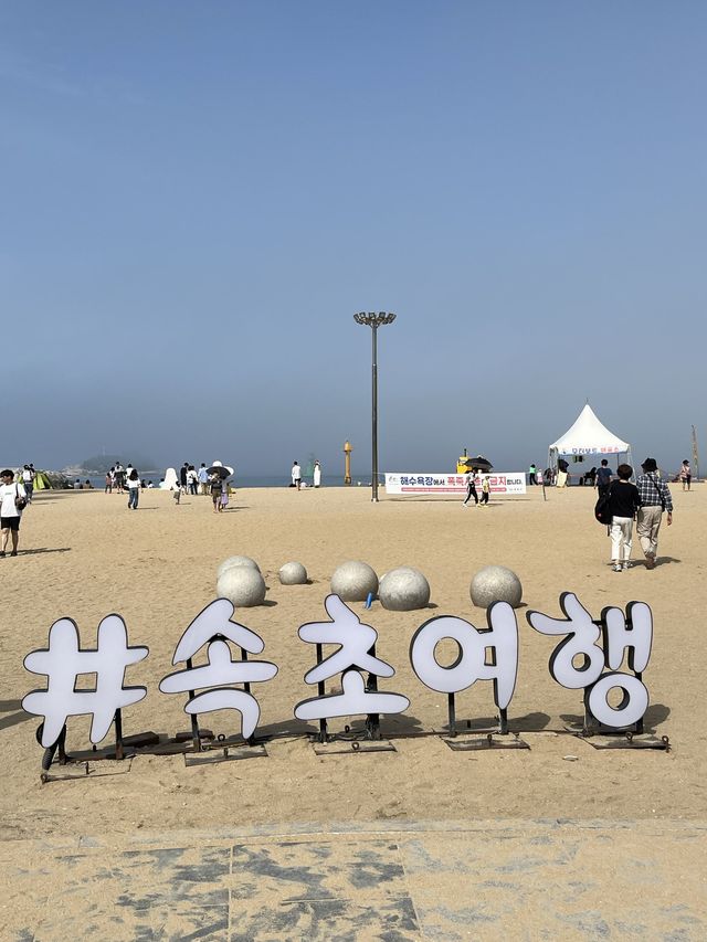 시원한 바다와 관람차 속초아이가 있는 속초 해수욕장 
