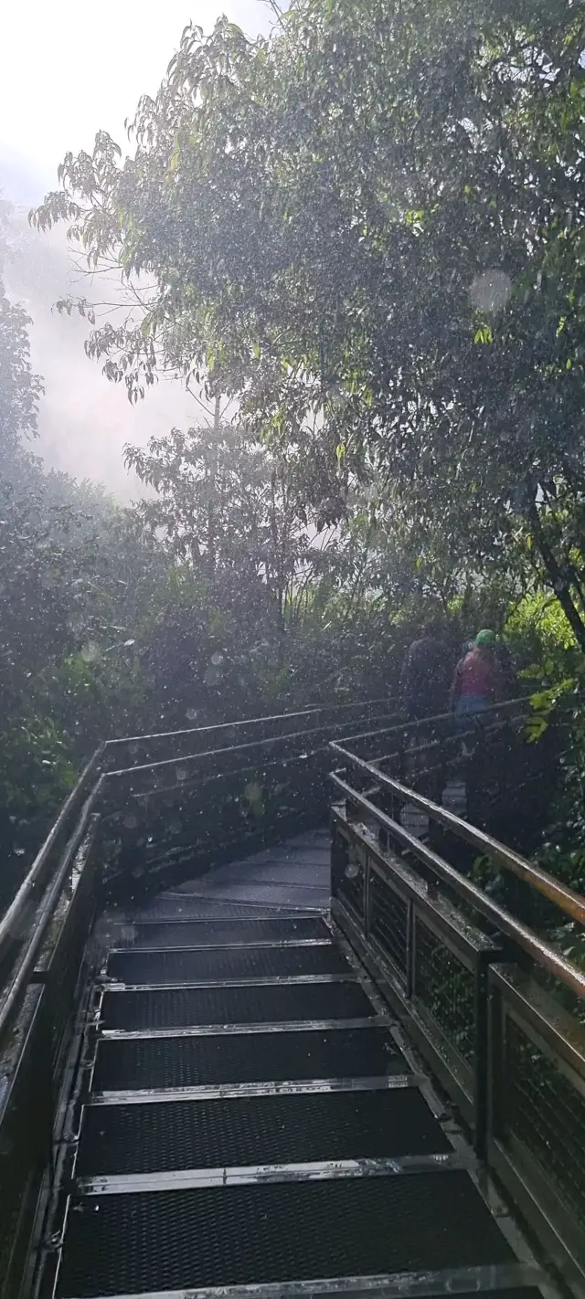 Iguazu Falls