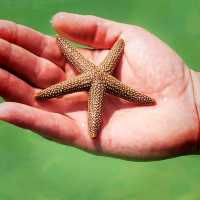 Crystal clear water and super soft sand 