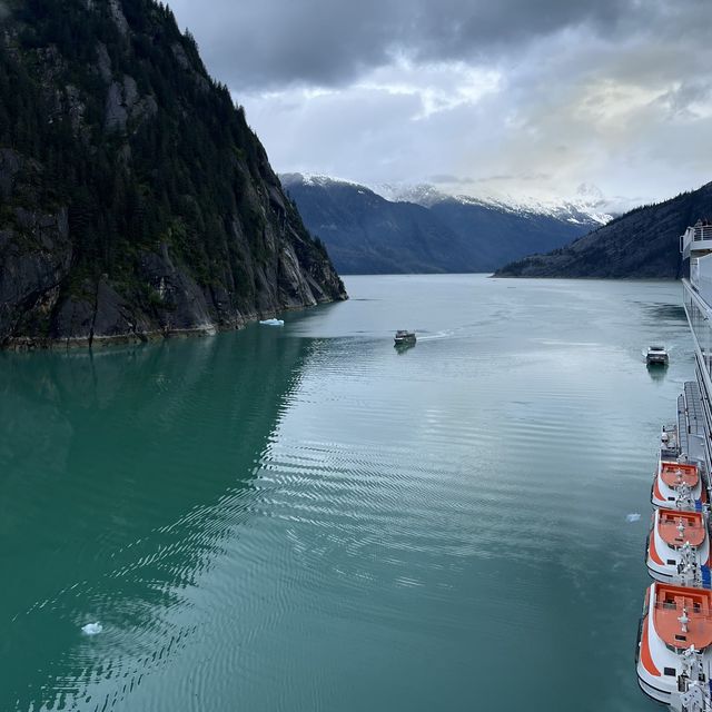 Endicott Arm and Dawes Glacier