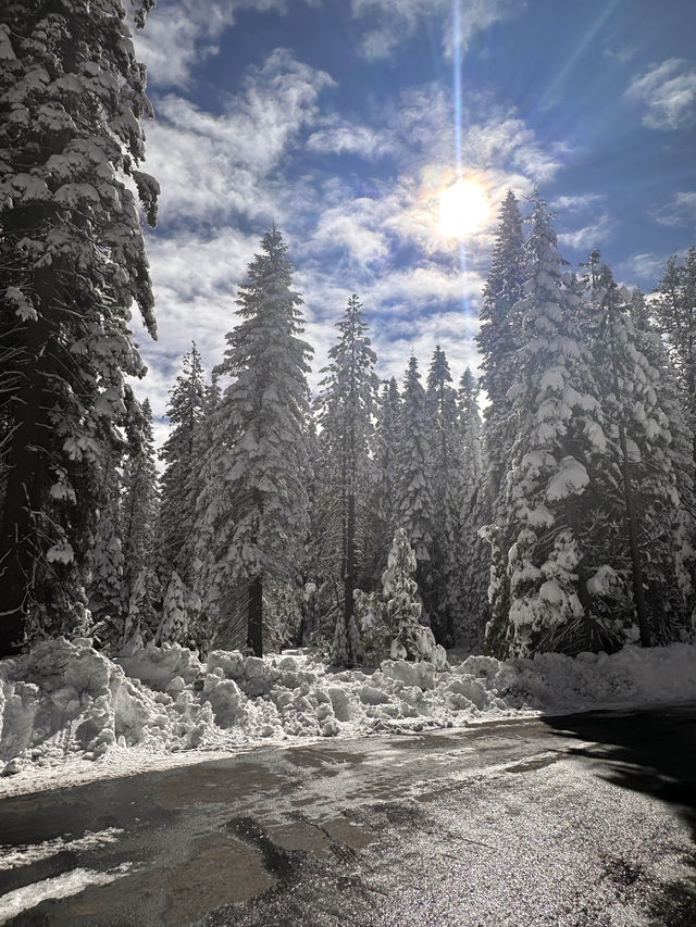 Yosemite, the overwhelming beauty of nature 