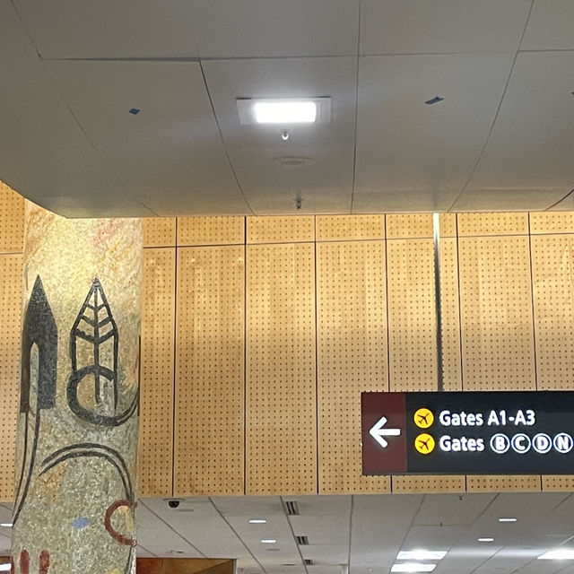 第一次西雅圖國際機場入境美國的經驗