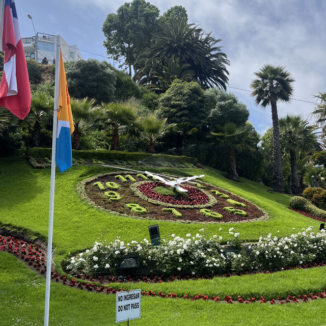 🌊 Discover Viña del Mar, Chile! 🌴✨
