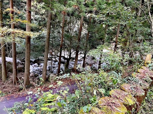 秘密大本營營地