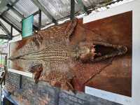 美里鱷魚園迷你野生動園