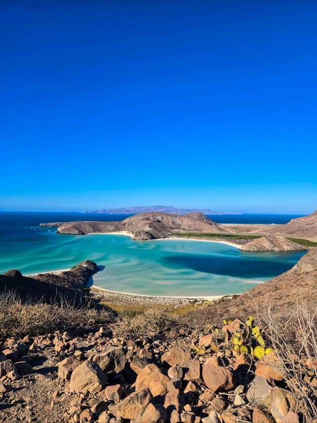 Best of Baja California in 7 days