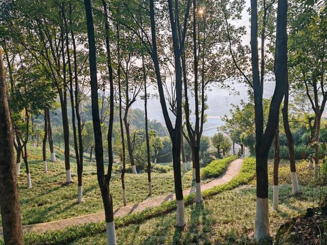 龍華公園