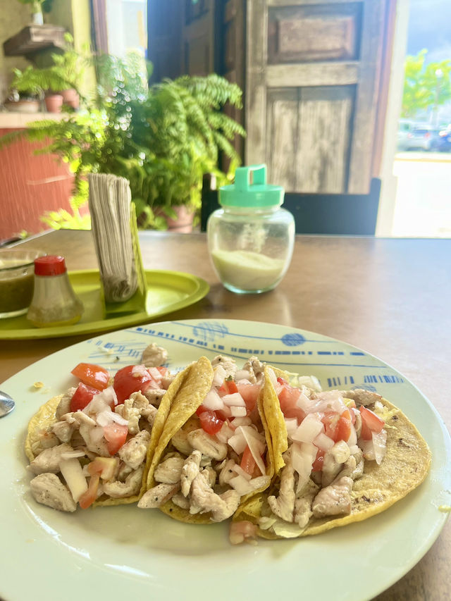 メキシコのユカタン半島のビーチ🏖️