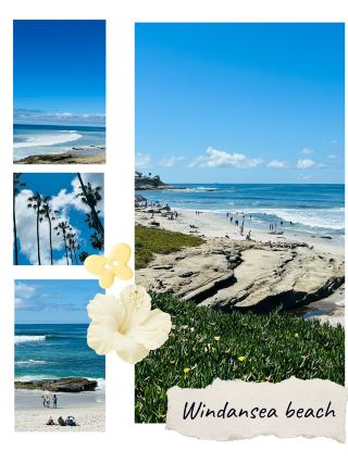 San Diego is honestly a hidden gem city!!! I never expected it to be such a lovely neighborhood 🤍 It's got everything you need all in one place – dreamy beaches, iconic hiking trails, an epic aquarium, SeaWorld, a world-class zoo, and sooo much more. 🙌

If you're up for adventure, here are my highly recommended activities: Surfing, kayaking, and hiking are a must! 🌊🏄♂️ The local vibes are next-level chill, and the scenery is straight-up insane.

Don't miss La Jolla, where you can catch stunning coastal cliffs, adorable seals, and the perfect surf spots. Check out La Jolla Cove (1100 Coast Blvd, La Jolla, San Diego, CA 92037) – it's a total stunner and ideal for kayaking or snorkeling. For beach day vibes, Coronado Island is an absolute beauty, famous for its soft sand and iconic Hotel del Coronado (1500 Orange Ave, Coronado, CA 92118). Both are SoCal dreams come true!

Need more inspo? Head to the San Diego Zoo (2920 Zoo Dr, San Diego, CA 92101; open daily 9am–6pm) for animal adventures, or get your mind blown at Birch Aquarium (2300 Expedition Way, La Jolla, CA 92037).

Whether you want to chill, get active, or just soak up the perfect Cali sun, San Diego legit has it all. If you haven’t been, stop sleeping on this city and add it to your list ASAP! ☀️✨