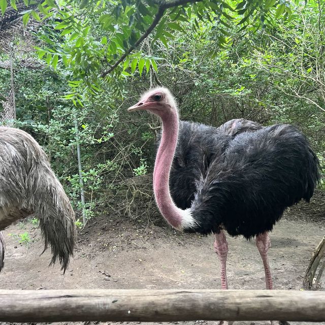 Ethical zoo in 🇹🇿 