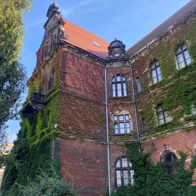 🇵🇱 National Museum in Wrocław 🏛