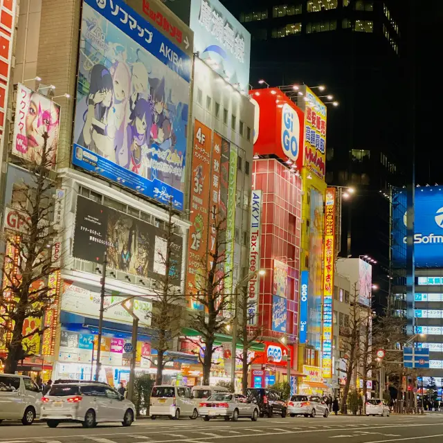 Famous electric town in Tokyo (Akihabara)