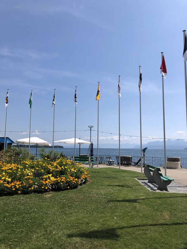🇨🇭스위스의 평화로운 호수마을 Nyon