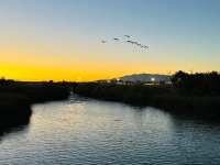 Clark County Wetlands Park 🇺🇸