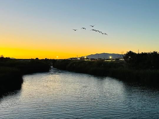 Clark County Wetlands Park 🇺🇸