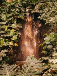 Iguazu in a Day: Nature's Marvel Unveiled🌳