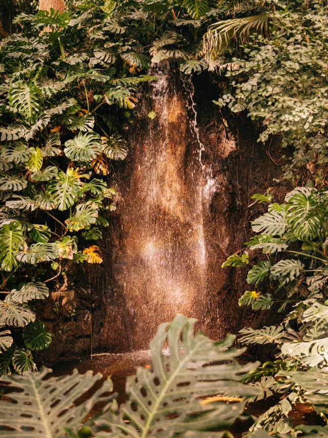 Iguazu in a Day: Nature's Marvel Unveiled🌳