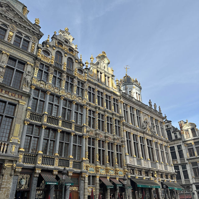 "Brussels in a Day: Chocs, Rocks, Delight!"