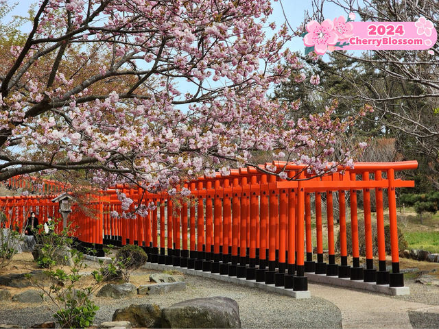 Beautiful Shrine 🇯🇵