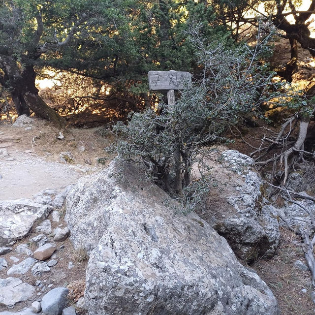 Imbros Gorge 🇬🇷